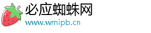 必应蜘蛛网